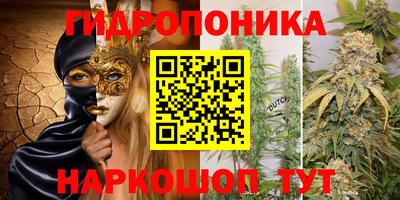 ешки Лесосибирск