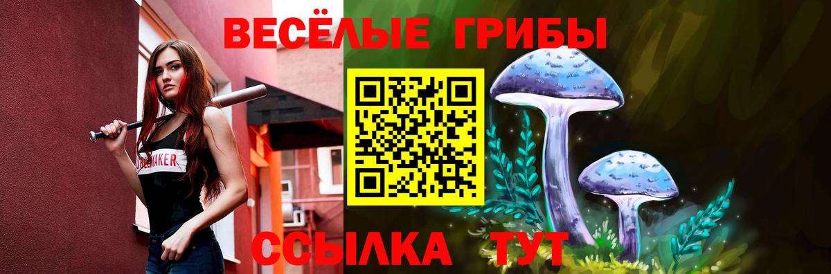 Псилоцибиновые грибы прущие грибы Екатеринбург
