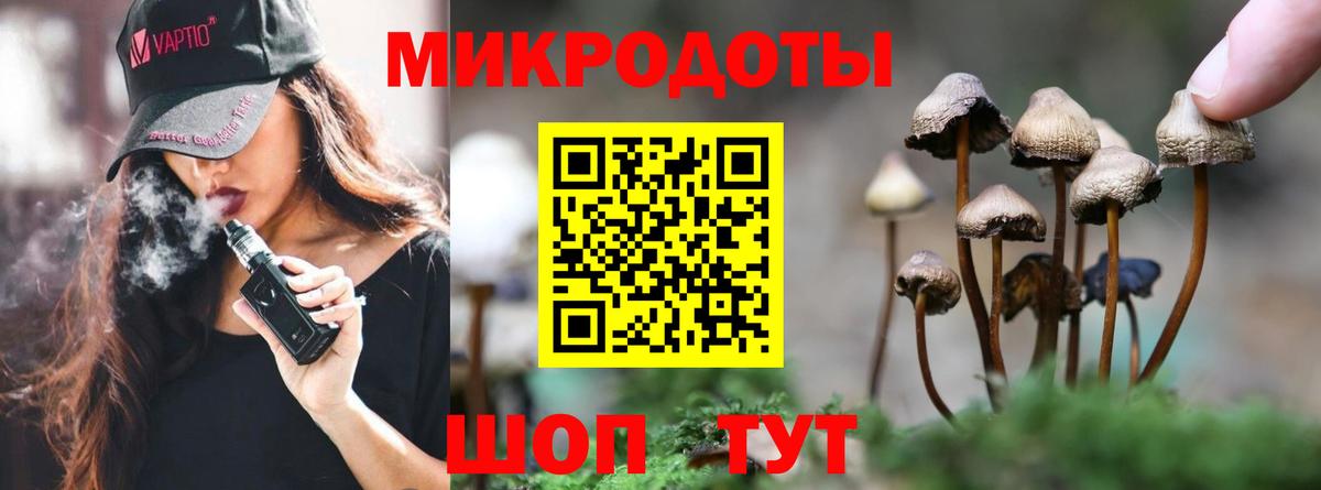 Галлюциногенные грибы Psilocybe  Псилоцибиновые грибы Psilocybe  Вход с VPN  Екатеринбург 